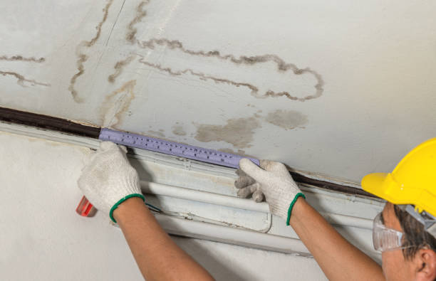 Reliable Flood Cleanup contractor in Cedar Grove, NJ by Water Damage Irwin